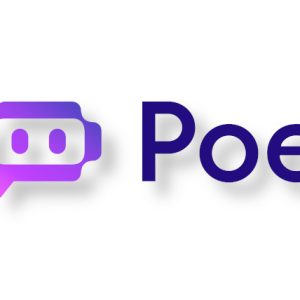 Poe AI