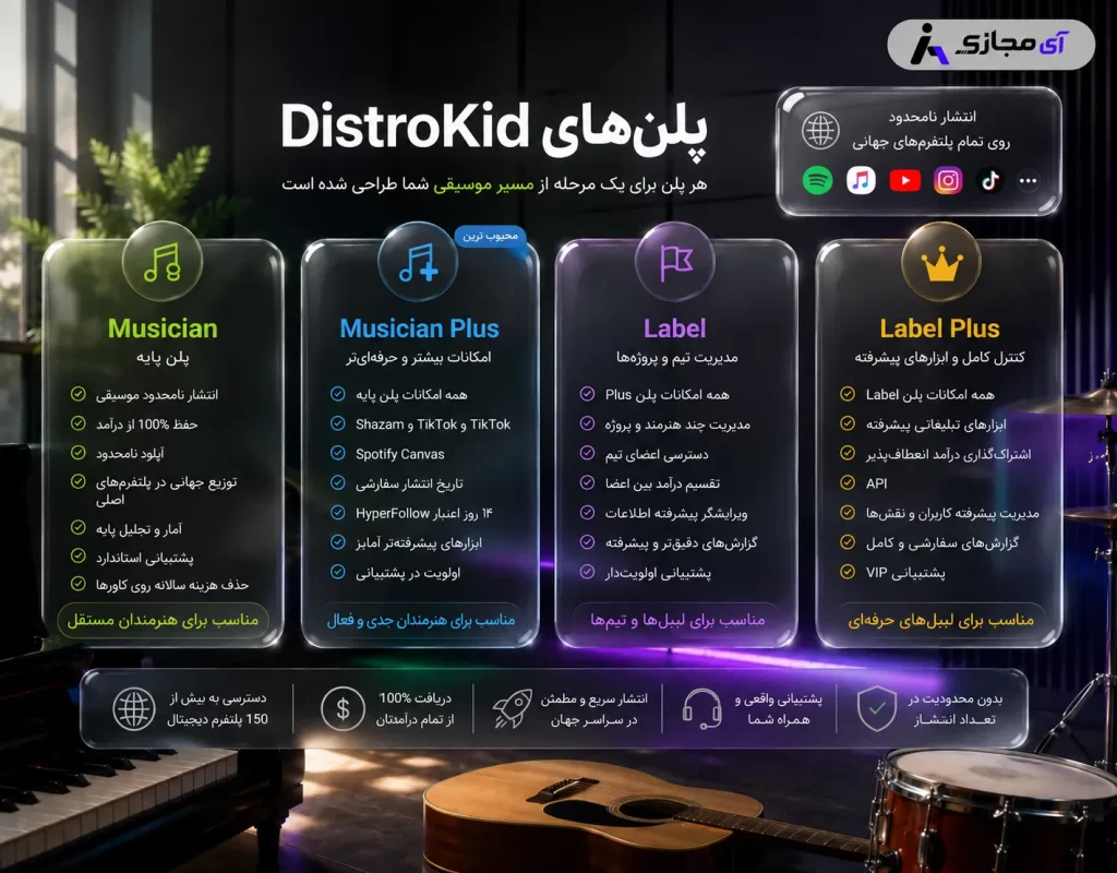DistroKid-plan