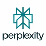 Perplexity