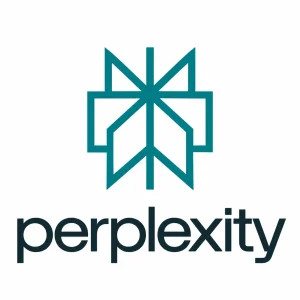 Perplexity